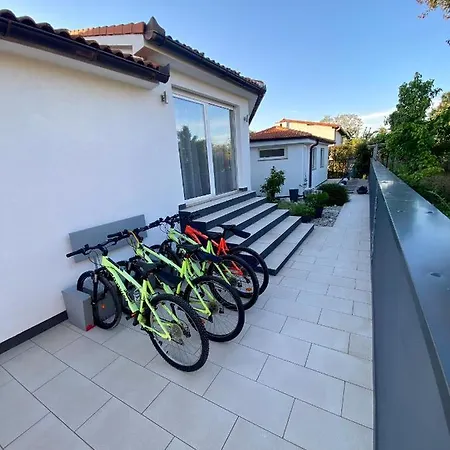 50 Shades Of Grey * Pula