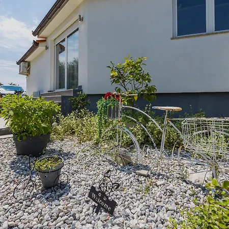 50 Shades Of Grey Pola